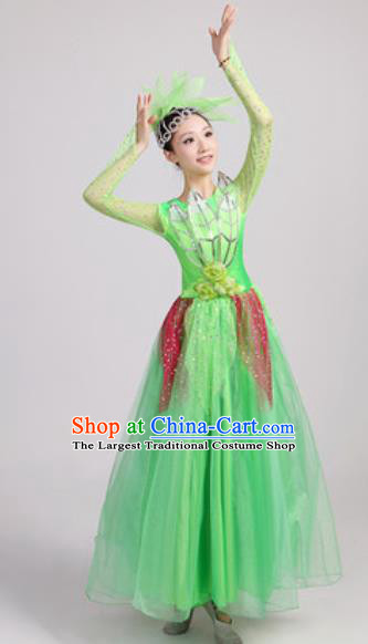Chinese Traditional Spring Festival Gala Opening Dance Green Veil Dress Modern Dance Costume for Women