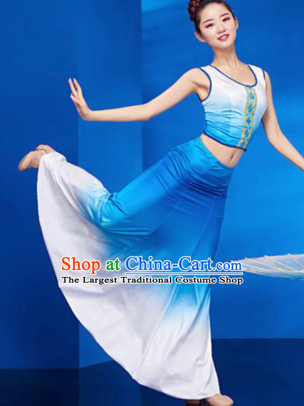 Chinese Traditional Ethnic Folk Dance Blue Dress Dai Nationality Peacock Dance Costume for Women