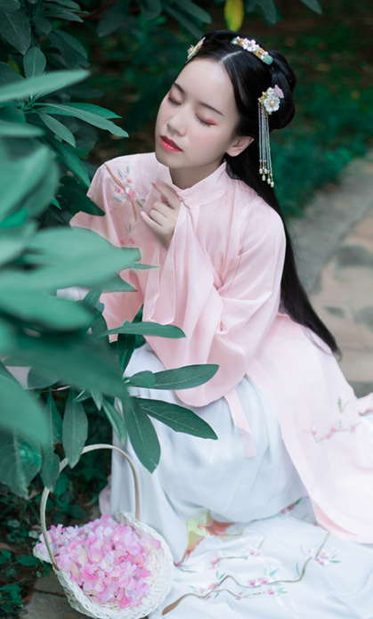 Traditional Chinese Ming Dynasty Young Lady Hanfu Dress Ancient Palace Embroidered Historical Costume for Women