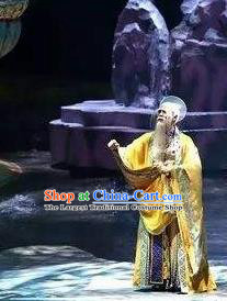 Chinese Stage Performance Qing Show Eight Immortals Zhang Guolao Costumes and Headpiece Complete Set