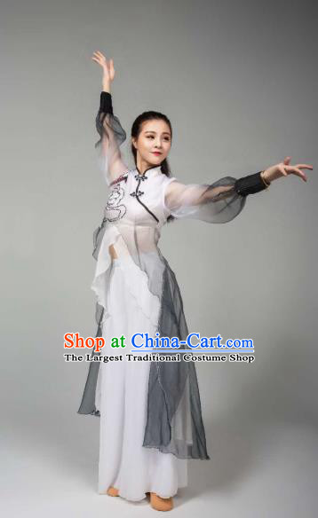 China Women Single Dance Outfits Traditional Classical Dance Costume Drama Stage Performance Clothing