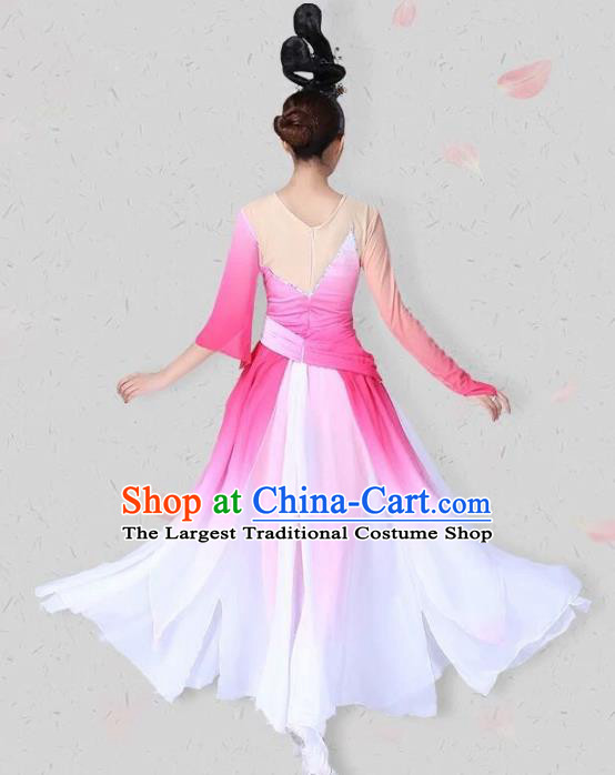 China Classical Dance Pink Dress Traditional Fan Dance Costume Dance Competition Performance Clothing and Headwear