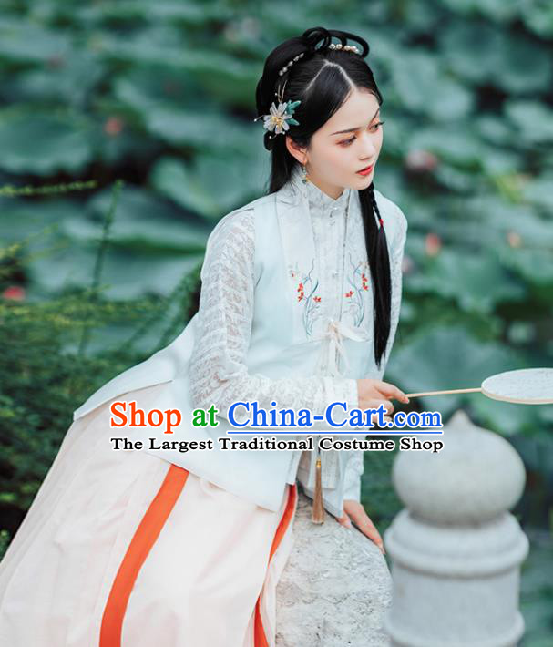 Chinese Ancient Noble Lady Embroidered Dress Traditional Ming Dynasty Nobility Costumes for Women