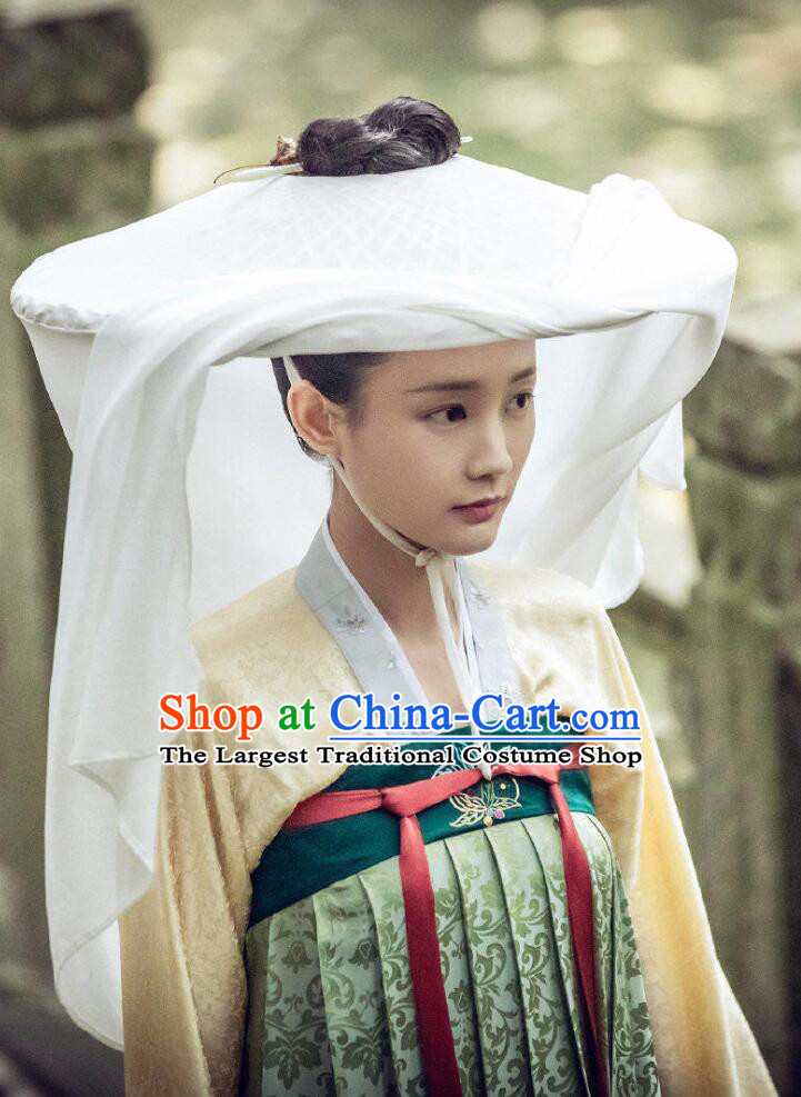 Traditional Chinese Ancient Nobility Lady Dress Drama Royal Nirvana Song Dynasty Costumes and Hat for Women