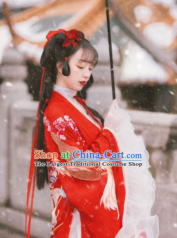 Traditional Chinese Ming Dynasty Historical Costumes Hanfu Dress Ancient Noble Lady Garment Red Cloak