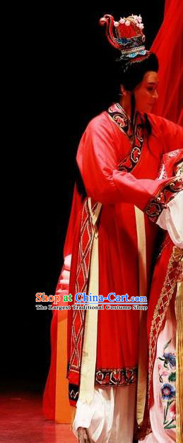 Chinese Shaoxing Opera Official Red Garment Yue Opera The Peacocks Fly To The Southeast Apparels Male Wedding Costumes and Headpieces