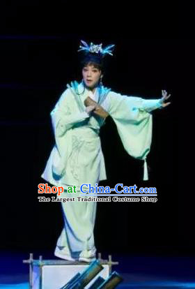 Chinese Shaoxing Opera Swordswoman The Story of Goddess Apparels Costumes and Headpieces Yue Opera Xiaodan Dress Garment