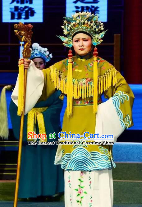 Chinese Shaoxing Opera Elderly Female Dress Garment and Headdress Tian Dao Zheng Yi Yue Opera Dowager Countess Laodan Apparels Costumes