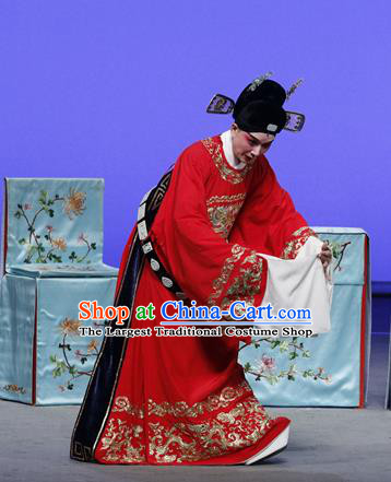 On A Wall and Horse Chinese Kun Opera Scholar Pei Shaojun Garment Costumes and Headwear Kunqu Opera Young Male Apparels Clothing Red Embroidered Robe