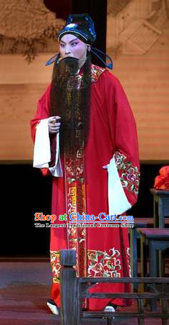 Chinese Kun Opera Laosheng Zhang Yetang Apparels Garment Costumes and Headwear the Legend of Washing the Silk Gauze Kunqu Opera Elderly Male Clothing