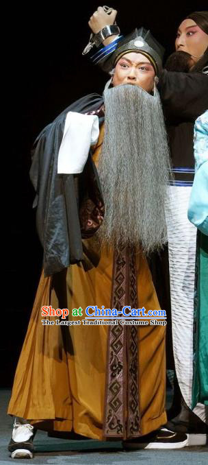 Chinese Kun Opera Elderly Man Apparels Garment Costumes and Headwear the Legend of Washing the Silk Gauze Kunqu Opera Laosheng Wei Liangfu Clothing