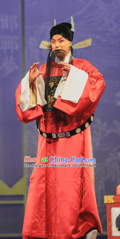 The Tale of Handan Chinese Kun Opera Laosheng Apparels and Headwear Kunqu Opera Garment Official Magistrate Costumes