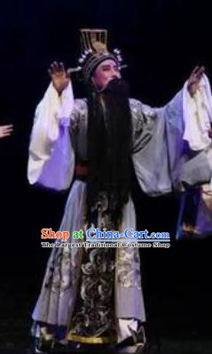 Li Li Fu Jian Chinese Huangmei Opera Minister Costumes and Headwear An Hui Opera Laosheng Apparels Official Clothing