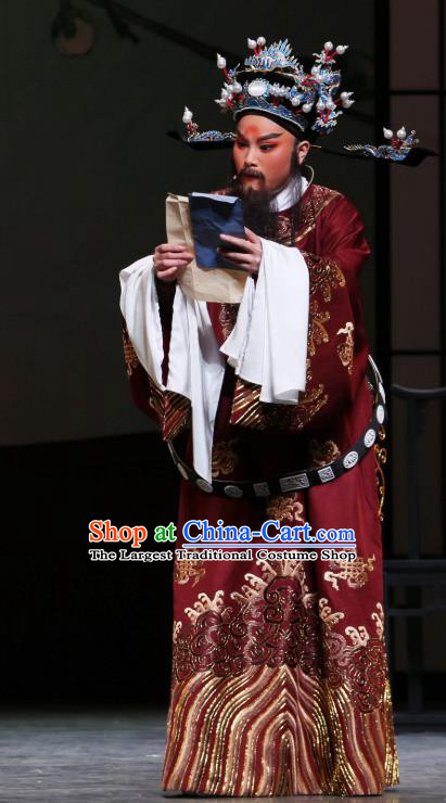 Chinese Classical Shaoxing Opera The Jade Hairpin Elderly Male Costumes Garment Yue Opera Apparels Python Embroidered Robe and Headwear