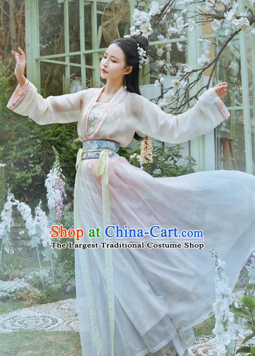 Chinese Traditional Tang Dynasty Hanfu Dress Ancient Noble Lady Apparels Historical Costumes for Women