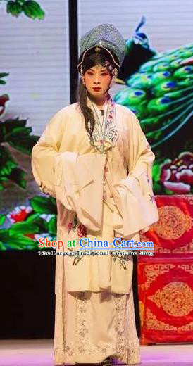 Chinese Shaoxing Opera Evil Female Apparels and Headwear Yue Opera Tell On Sargam Dress Actress Costumes Zhang Mingzhu Garment