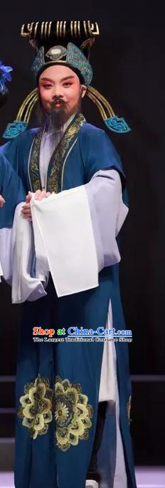 Chinese Yue Opera Landlord Wu Nv Bai Shou Yang Jikang Costumes and Hat Shaoxing Opera Apparels Garment Elderly Male Embroidered Robe