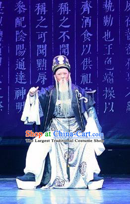 Chinese Yue Opera Old Man Costumes and Headwear Han Xing Wei Yang Shaoxing Opera Garment Han Dynasty Elderly Male Clothing Apparels