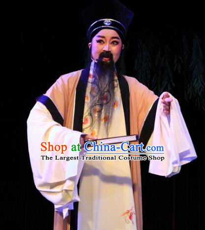 Lions Roar Chinese Yue Opera Elderly Male Costumes and Hat Shaoxing Opera Laosheng Poet Su Dongpo Garment Apparels