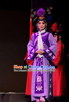 Chinese Beijing Opera Imperial Consort Apparels Costumes and Headdress Nan Hai Zi Traditional Peking Opera Qing Dynasty Purple Dress Court Maid Garment