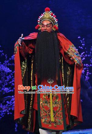 Ru Ji Chinese Peking Opera Lord Xinling Garment Costumes and Headwear Beijing Opera Laosheng Apparels King Clothing