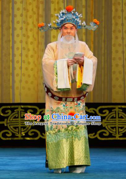Chained Traps Chinese Peking Opera Elderly Male Garment Costumes and Headwear Beijing Opera Apparels Minister Clothing