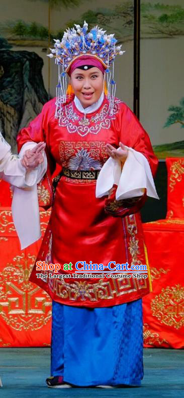 Chinese Beijing Opera Vieille Dame Apparels Ba Zhen Tang Costumes and Headpieces Traditional Peking Opera Countess Dress Elderly Female Red Garment