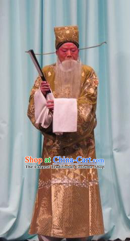 Qin Xianglian Chinese Ping Opera Laosheng Garment Costumes and Headwear Pingju Opera Chancellor Wang Yanling Apparels Clothing