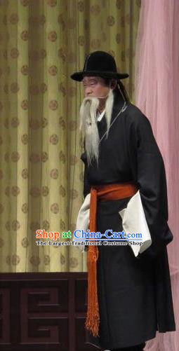 Qin Xianglian Chinese Ping Opera Old Man Garment Costumes and Headwear Pingju Opera Elderly Male Zhang Yuanling Apparels Clothing
