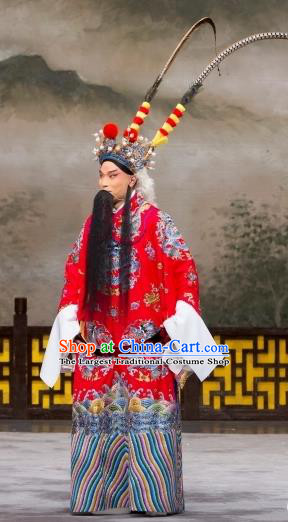 Daming Prefecture Chinese Peking Opera Old Man Garment Costumes and Headwear Beijing Opera Laosheng Apparels Elderly Male Clothing
