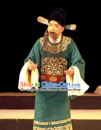 Wu Zetian Chinese Peking Opera Scholar Luo Binwang Garment Costumes and Headwear Beijing Opera Elderly Male Apparels Laosheng Clothing
