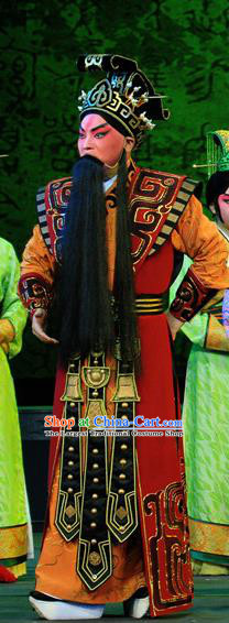 King Zhao Wuling Chinese Peking Opera Official Garment Costumes and Headwear Beijing Opera Elderly Male Apparels Chancellor Fei Yi Clothing