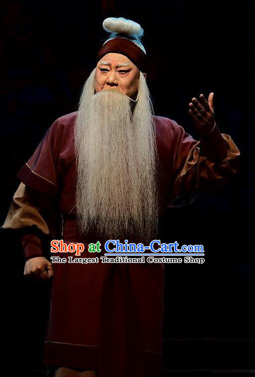 Qi Nv Wu Rong Chinese Peking Opera Laosheng Garment Costumes and Headwear Beijing Opera Elderly Male Apparels Clothing