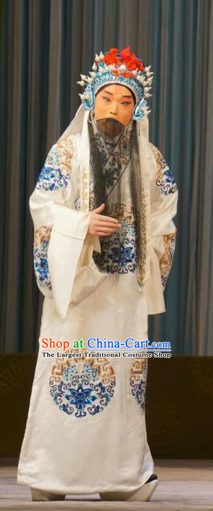 Mu Yang Juan Chinese Peking Opera Elderly Male Zhu Chundeng Apparels Costumes and Headpieces Beijing Opera Official Garment Minister Clothing