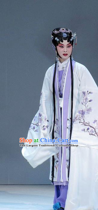 Chinese Beijing Opera Hua Tan Tang Wan Garment Costumes and Hair Accessories Traditional Peking Opera Actress Dress Young Mistress Apparels