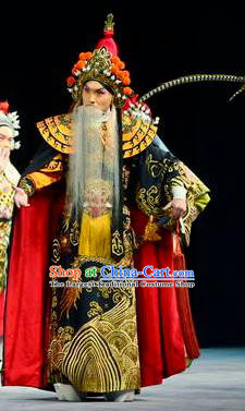The Tiger Generals Chinese Peking Opera Lord Li Keyong Apparels Costumes and Headpieces Beijing Opera Elderly Male Garment King Clothing