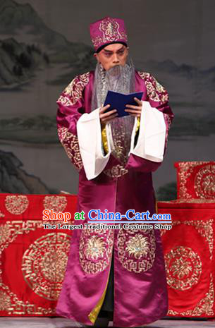 Zhuo Wenjun Chinese Peking Opera Laosheng Apparels Costumes and Headpieces Beijing Opera Elderly Male Garment Landlord Zhuo Wangsun Clothing