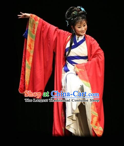 Chinese Sichuan Opera Hua Tan Pu Lan Costumes and Hair Accessories Yu Hai Kuang Chao Traditional Peking Opera Actress Dress Diva Apparels