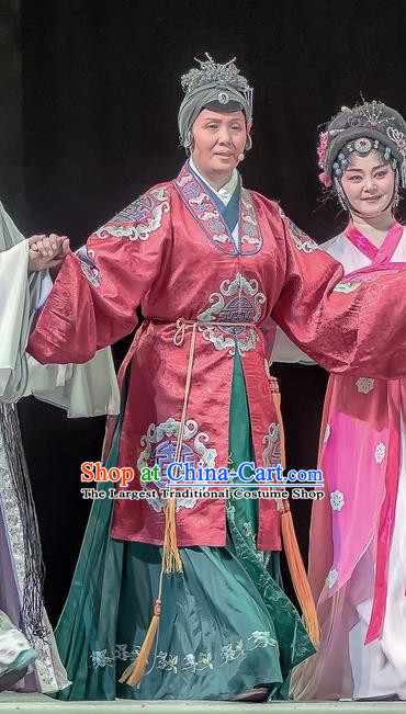 Chinese Sichuan Opera Pantaloon Garment Costumes and Hair Accessories Bao En Ji Traditional Peking Opera Laodan Dress Elderly Female Apparels