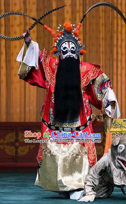 Sacrifice Zhao Shi Gu Er Chinese Peking Opera Elderly Male Garment Costumes and Headwear Beijing Opera Laosheng King Apparels Old Man Clothing