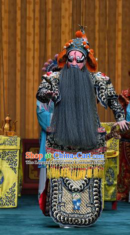 Sacrifice Zhao Shi Gu Er Chinese Peking Opera General Garment Costumes and Headwear Beijing Opera Elderly Male Wei Jiang Apparels Clothing