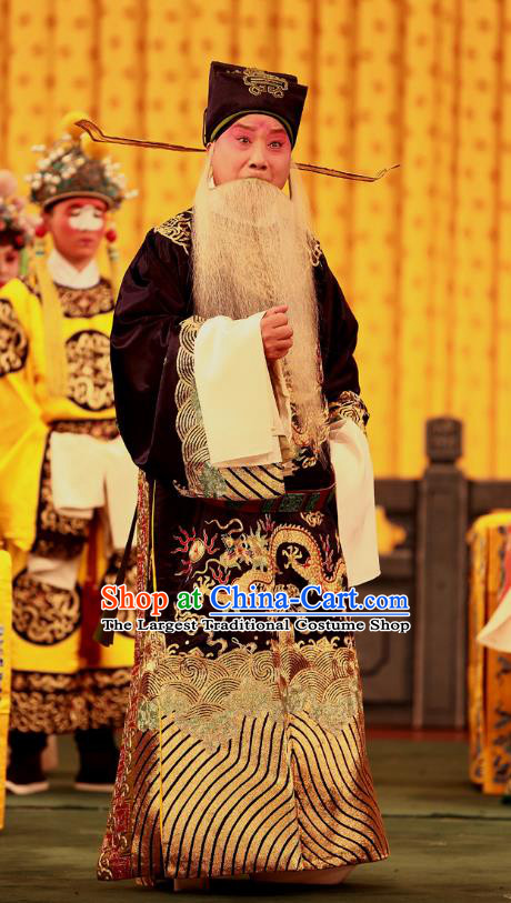 A Honey Trap Chinese Peking Opera Laosheng Garment Costumes and Headwear Beijing Opera Official Apparels Elderly Male Clothing
