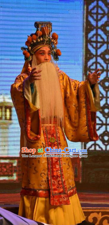 Shen Gong Qing Hun Chinese Shanxi Opera Old King Apparels Costumes and Headpieces Traditional Jin Opera Elderly Male Garment Lord Clothing