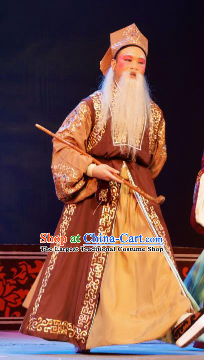 Hua Deng An Chinese Hubei Hanchu Opera Ministry Councillor Apparels Costumes and Headpieces Traditional Han Opera Elderly Male Garment Landlord Clothing