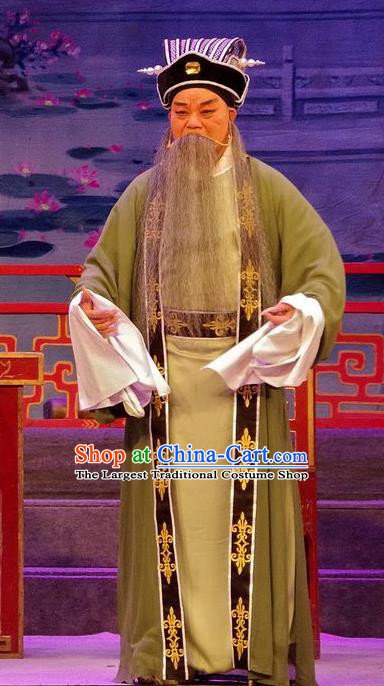 Qian Tang Su Xiaoxiao Chinese Guangdong Opera Laosheng Apparels Costumes and Headpieces Traditional Cantonese Opera Elderly Male Garment Landlord Clothing