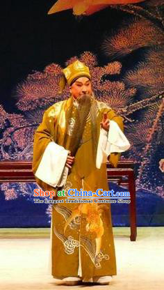 Hua Jian Ji Chinese Guangdong Opera Elderly Male Apparels Costumes and Headpieces Traditional Cantonese Opera Laosheng Garment Prime Minister Clothing