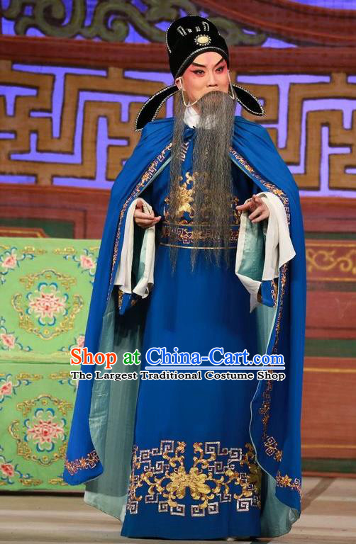 The Mad Monk by the Sea Chinese Guangdong Opera Laosheng Apparels Costumes and Headwear Traditional Cantonese Opera Elderly Male Garment Wu Dacheng Clothing