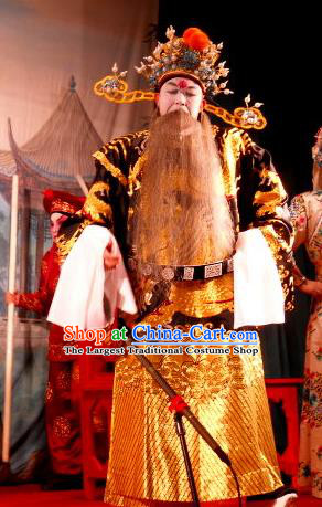 Love in the Red Plum Chinese Guangdong Opera Jing Apparels Costumes and Headwear Traditional Cantonese Opera Elderly Male Garment Treacherous Official Jia Sidao Clothing