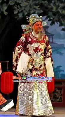 Princess Changping Chinese Guangdong Opera Elderly Male Apparels Costumes and Headwear Traditional Cantonese Opera Official Garment Minister Zhou Xing Clothing