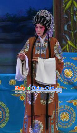 Chinese Cantonese Opera Noble Dame Garment Wu Nv Bai Shou Costumes and Headdress Traditional Guangdong Opera Elderly Female Apparels Mistress Dress